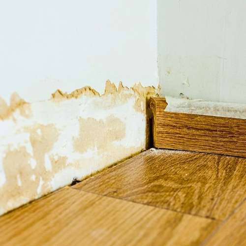What to Do Immediately After a Hail Storm A Homeowners Checklist-2